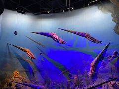 -浙江自然博物院(杭州馆)