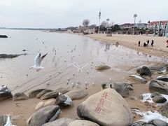 -老虎石海上公园