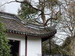 -上海佘山国家森林公园天马山园