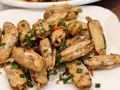 -老杨饭店(万科里店)