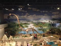 -自贡恐龙博物馆