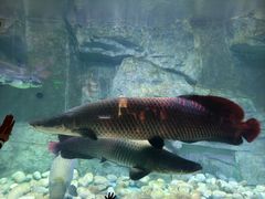 -泉城欧乐堡海洋极地世界