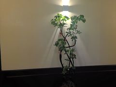 -涟LIAN·泰式按摩·MASSAGE·SPA(华强北店)
