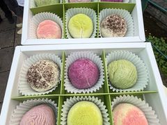 -好一朵茉莉花(老门东店)