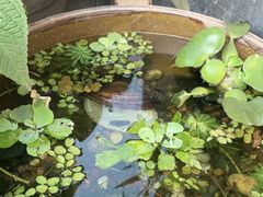 -川匠·睡眠采耳·SPA(九眼桥店)