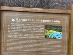 -黄龙山原始森林景区