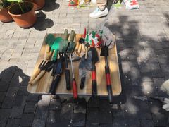 -哈尔滨道外花鸟鱼市场