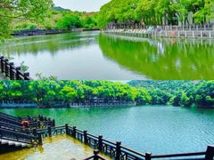 -白马涧龙池景区