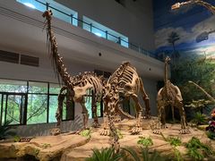 -自贡恐龙博物馆