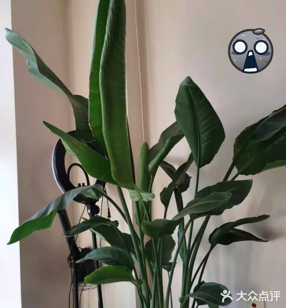 皮肤喝饱了水
