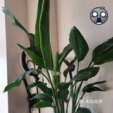 皮肤喝饱了水