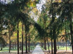 -陕西师范大学(雁塔校区)