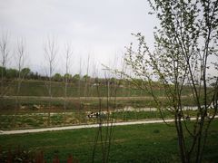 -洨河生态公园