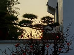 -龙华寺