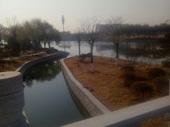 -万达广场(泰安泰山店)