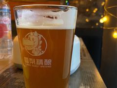 -雪梨精酿 Sydney Coast Brewing(沁春家园店)