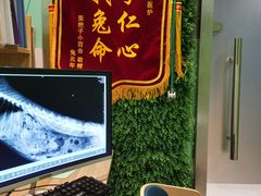-雨林宠物医院 非犬猫异宠专科
