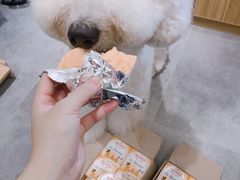 -小尾巴宠物店(万科·金域华庭店)