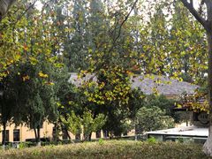 -T80科技文化国际社区-停车场