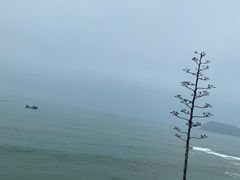 -漳州滨海火山岛自然生态风景区