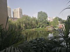 -雁滩公园