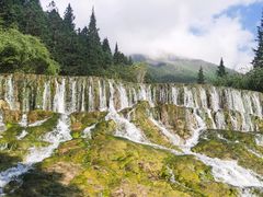 -黄龙山原始森林景区