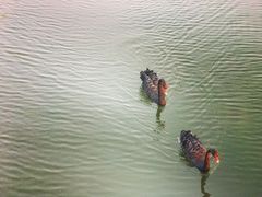 -上海怡沁园度假酒店