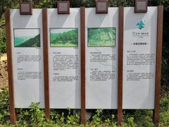 -羚羊峡古栈道森林公园