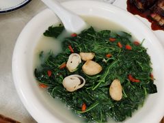 枸杞叶-贞姨美食·老字号海鲜大排档