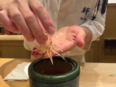 -辉·四季料亭·怀石料理·深夜食堂烧鸟·Omakase