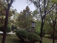 -唐城墙遗址公园