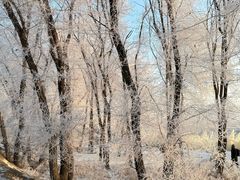 -雾凇岛
