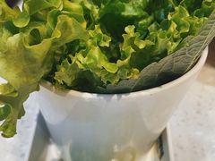 -三毛烤羊腿(乐园路总店)