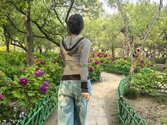 -太阳宫公园