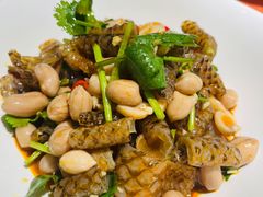 酸辣鱼皮花生-探炉·香辣豆花烤鱼(笋岗宝能环球汇店)