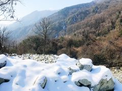 -卧龙中华大熊猫苑神树坪基地