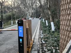 -WeLope紫金山探险公园