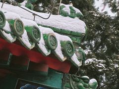 -月坛公园
