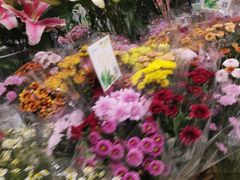 店内环境-凯德广场(学府店)