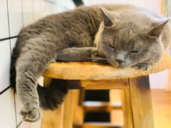 -Rabbit Cafe私房西餐甜点咖啡(栖霞路店)