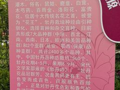 -太阳宫公园
