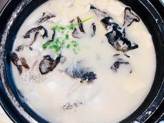 -老淳安—伴山伴湖(千岛湖开元度假村店)