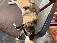 -再回首鸡肉米线(人民路一店)