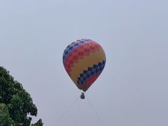 -中国科学院西双版纳热带植物园