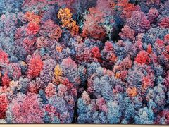 -罗红摄影艺术馆