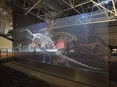 -世界恐龙谷景区