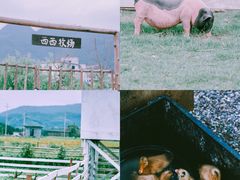 -溪口-滕头旅游景区