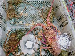 -霞涌市场海鲜摆卖区