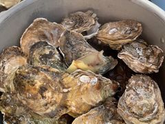 -千岛蚝高压锅生蚝·人参火锅(白云万达店)