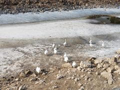 -北京张裕爱斐堡酒庄